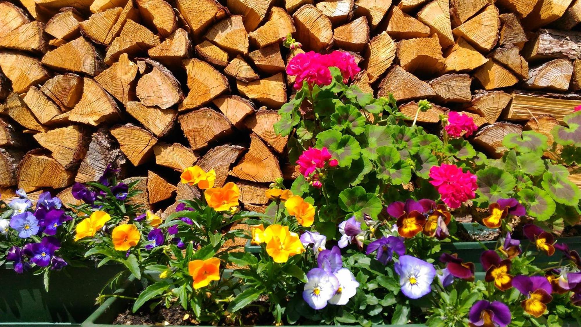 Bed & Breakfast Campaciol Livigno Exterior foto