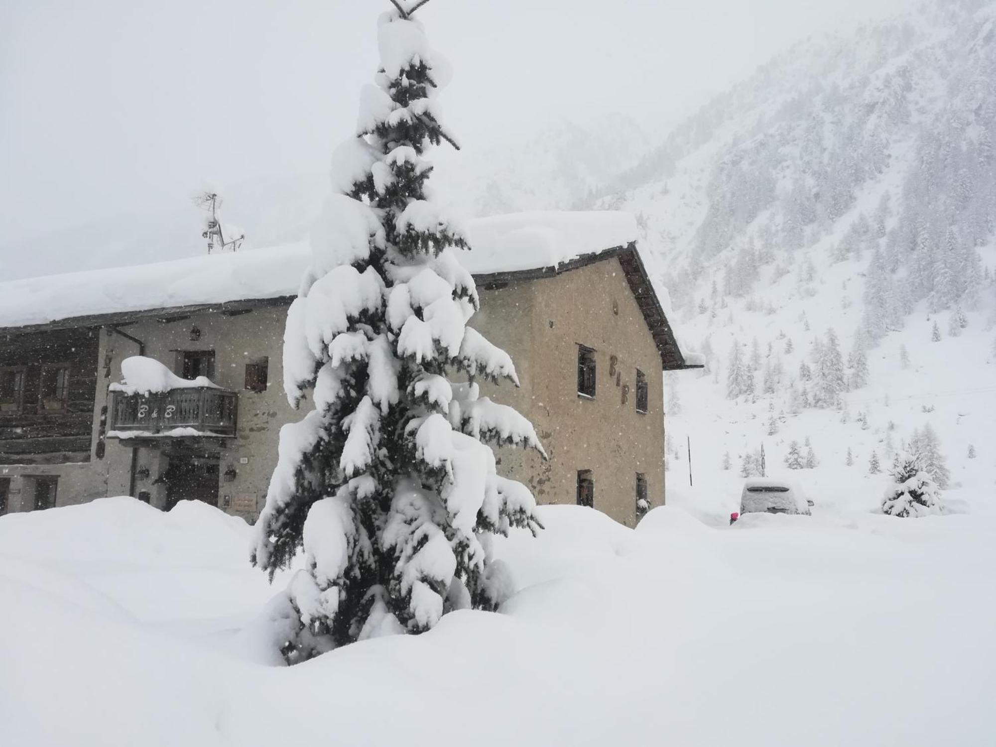 Bed & Breakfast Campaciol Livigno Exterior foto