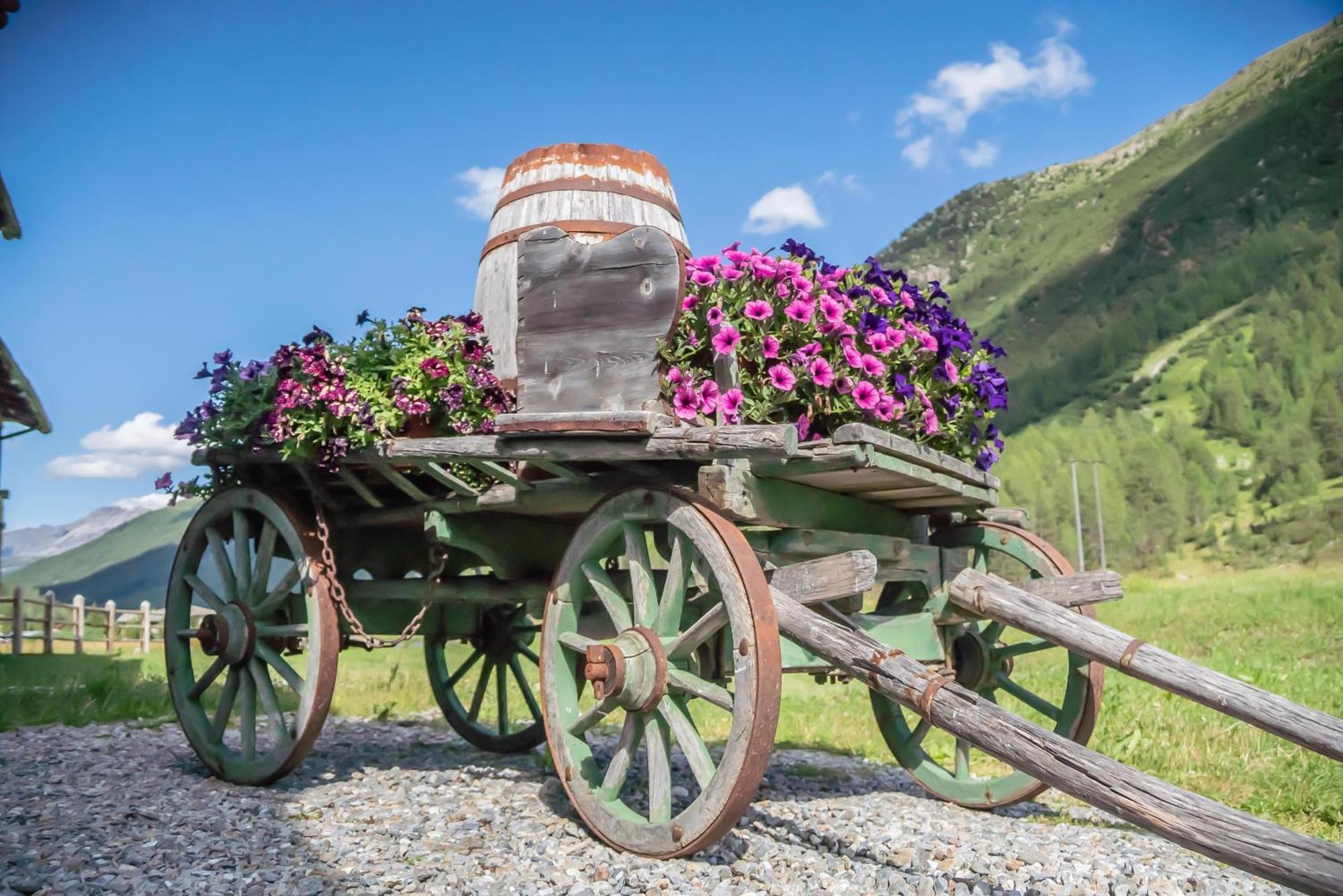Bed & Breakfast Campaciol Livigno Exterior foto